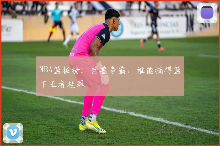 NBA篮板榜：巨兽争霸，谁能摘得篮下王者桂冠