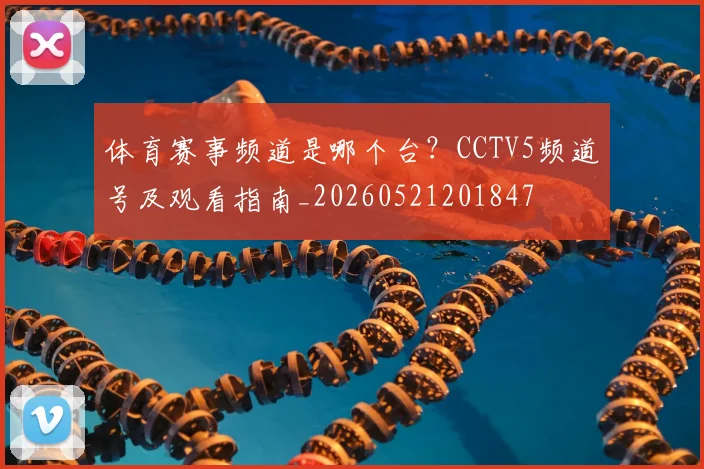 体育赛事频道是哪个台？CCTV5频道号及观看指南_20260521201847