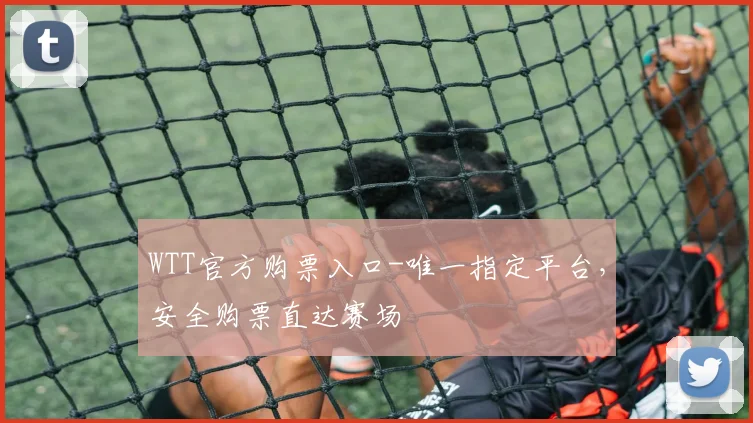 WTT官方购票入口-唯一指定平台，安全购票直达赛场